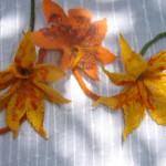 flowers 101